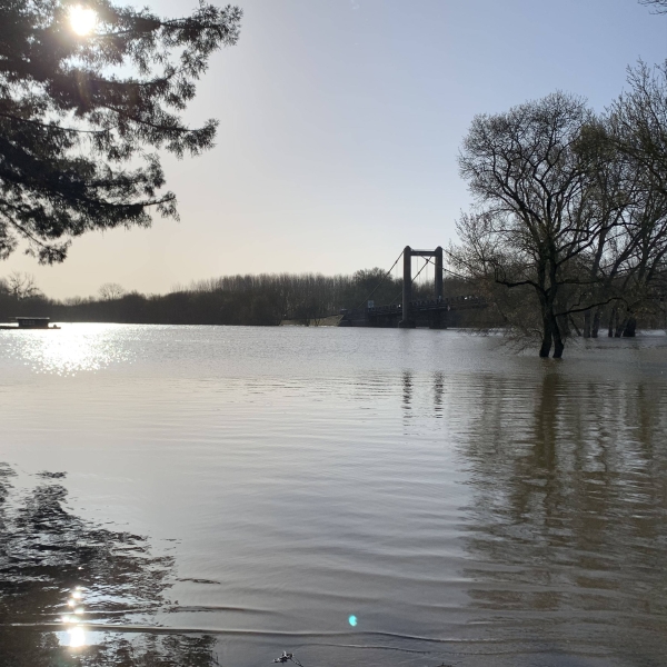 Le Restaurant - Le Noé - Angers - top resto BOUCHEMAINE