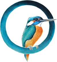 Le Noé - Restaurant Angers